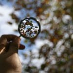Förstoringsglass (bildkredd: harusday, flickr, cc-nc)